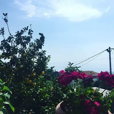 Shaha Apartament Lukovë