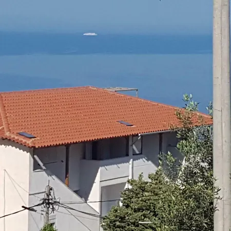 Shaha Apartament